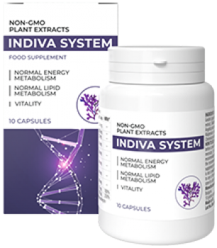 InDiva System