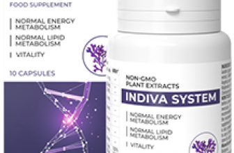 InDiva System