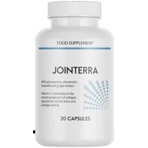 Jointerra