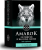 AMAROK – koupit v lékárně, aktuální cena, recenze a zkušenosti, názory, složení